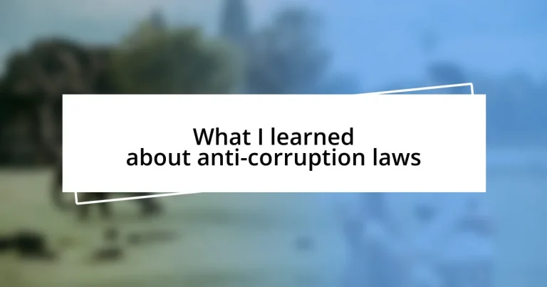 What I learned about anti-corruption laws