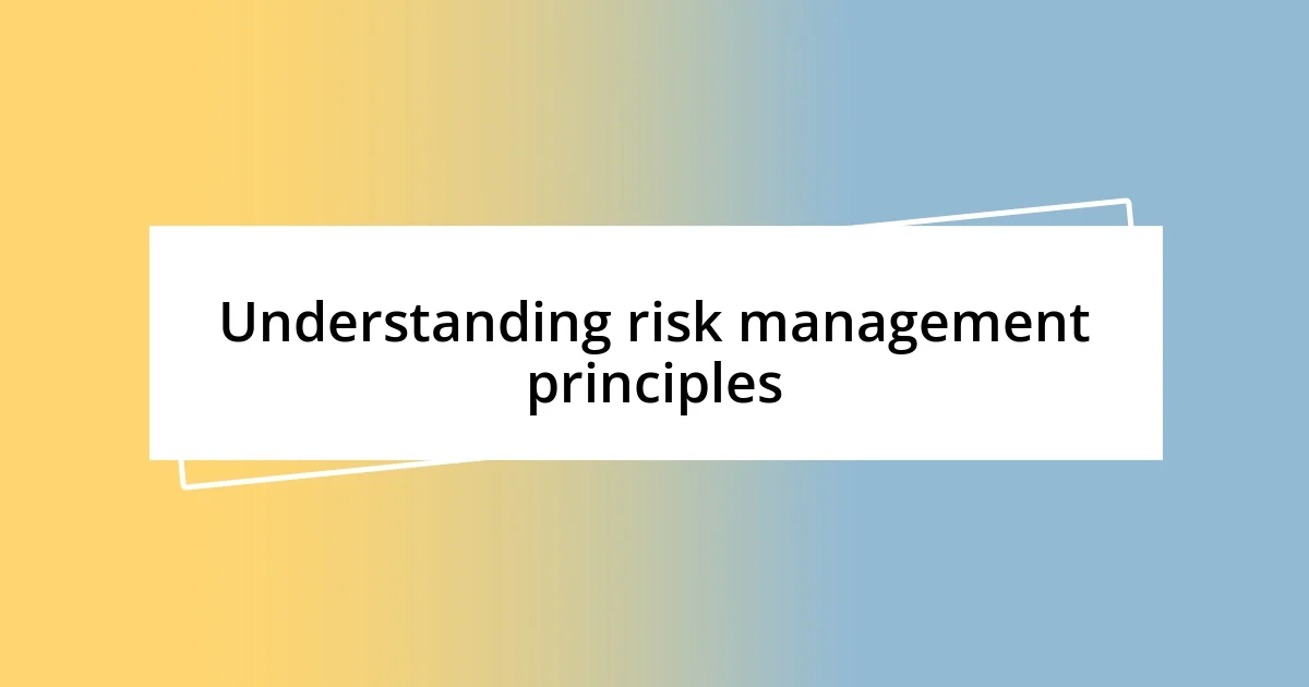 Understanding risk management principles