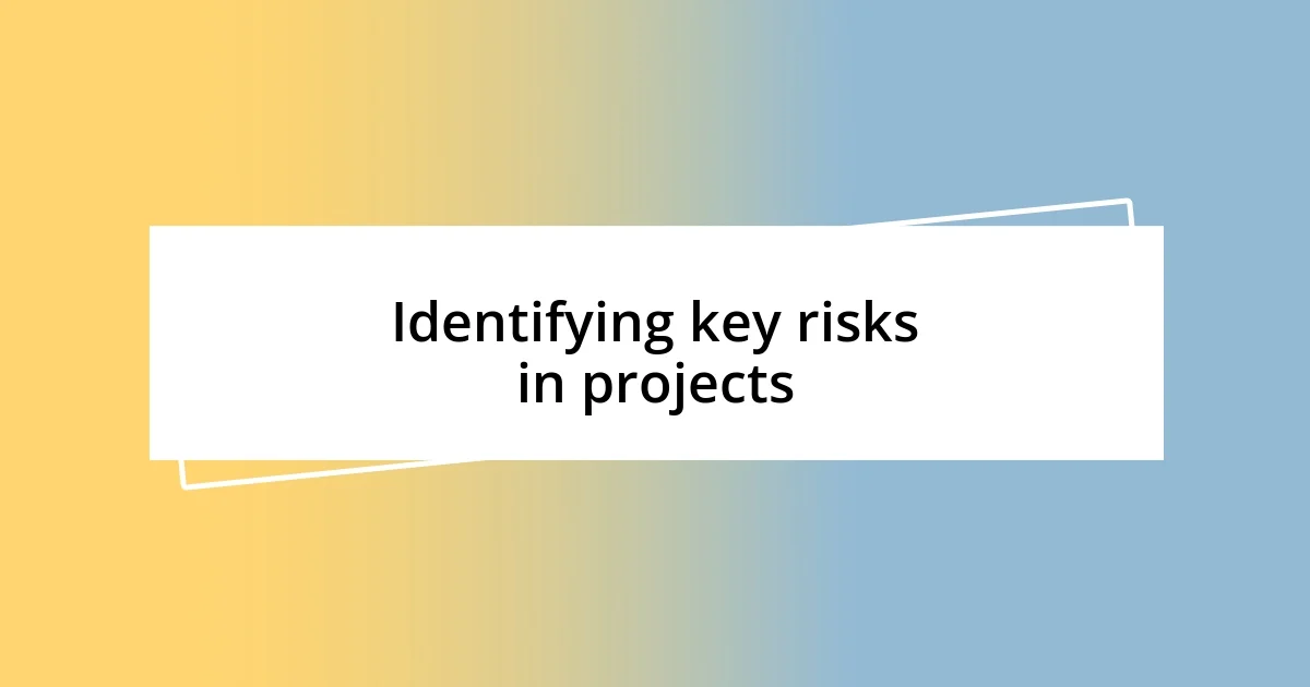 Identifying key risks in projects