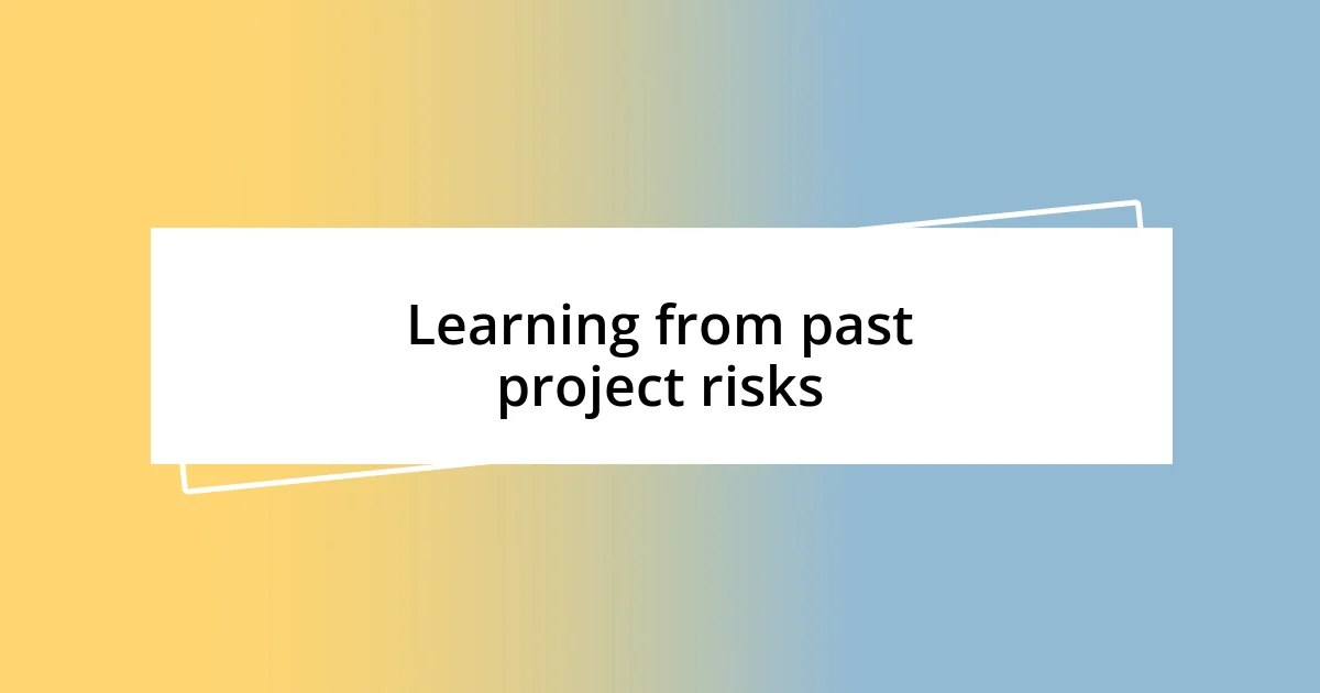 Learning from past project risks