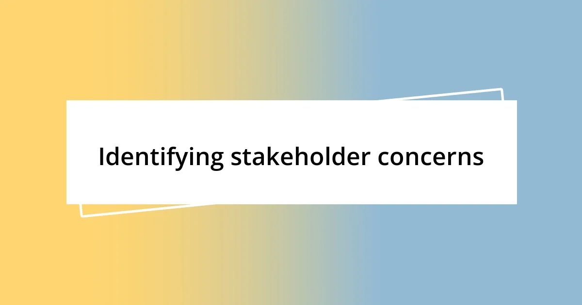 Identifying stakeholder concerns