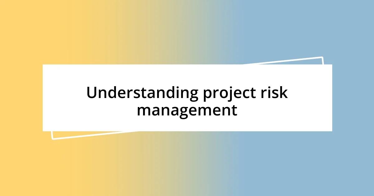 Understanding project risk management