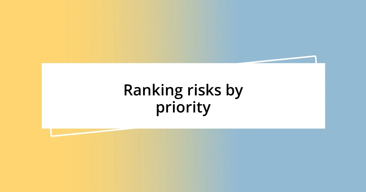 Ranking risks by priority