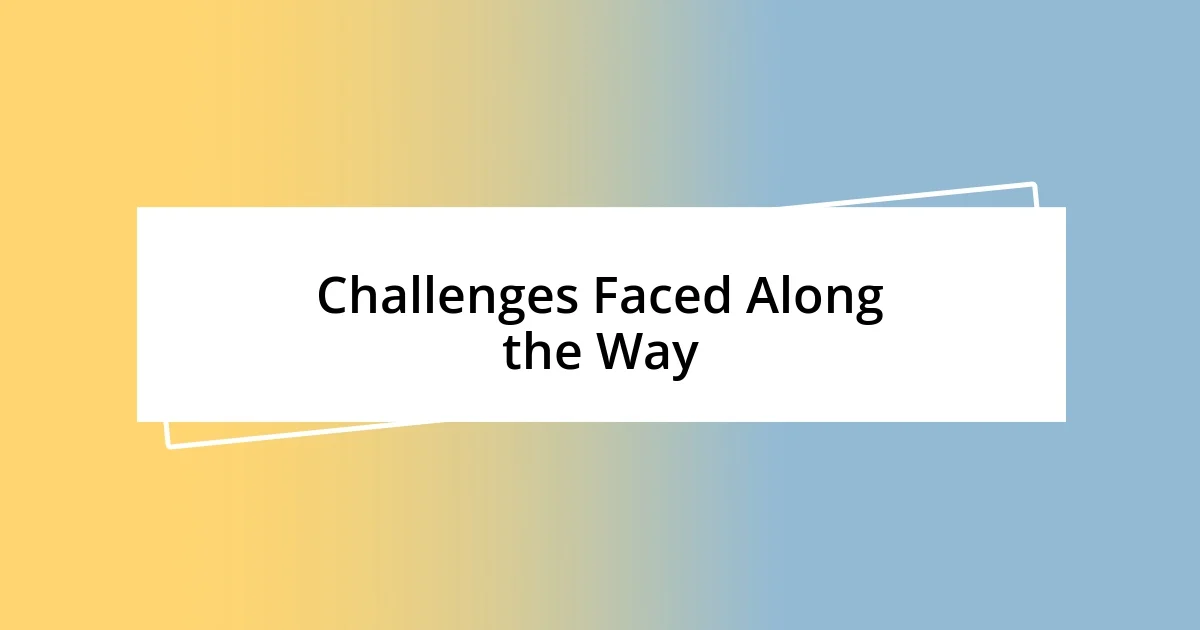 Challenges Faced Along the Way