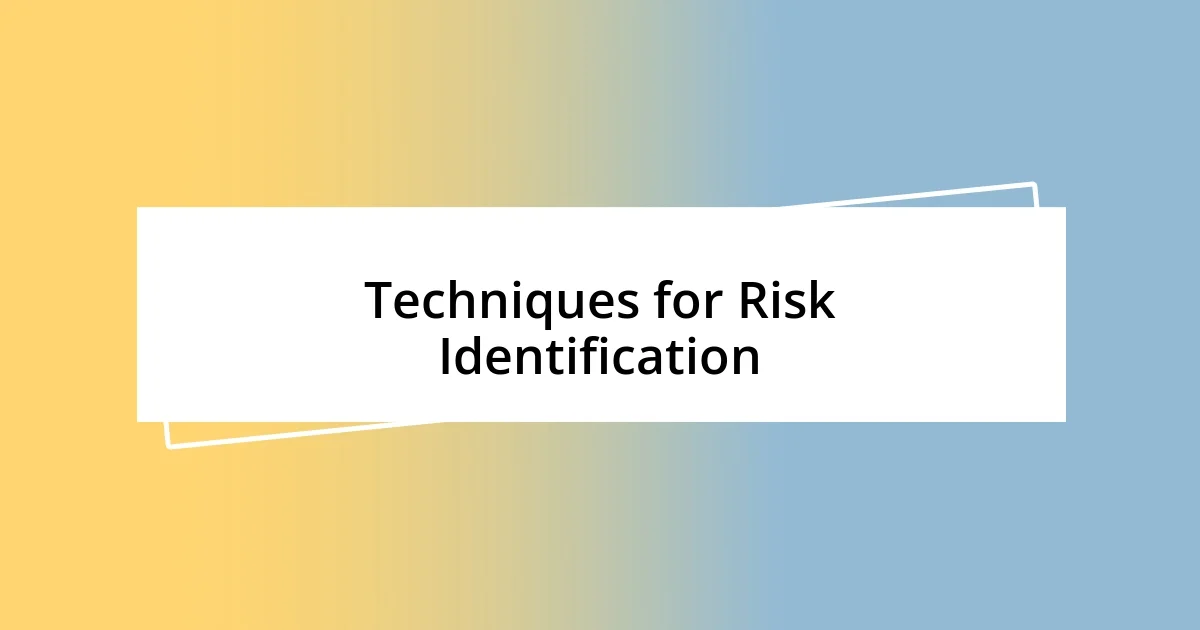 Techniques for Risk Identification