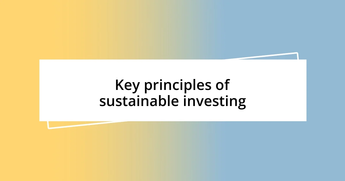 Key principles of sustainable investing